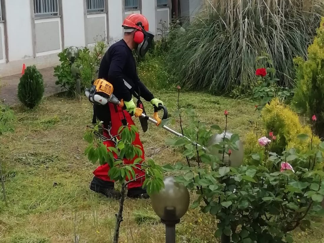 Operatore con casco, visiera a rete, cuffie antirumore, guanti e pantaloni antitaglio mentre lavora con il decespugliatore durante un'esercitazione Theorema